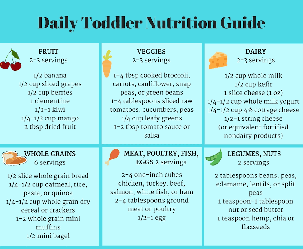 Daily Toddler Nutrition Guide Printable Chart 