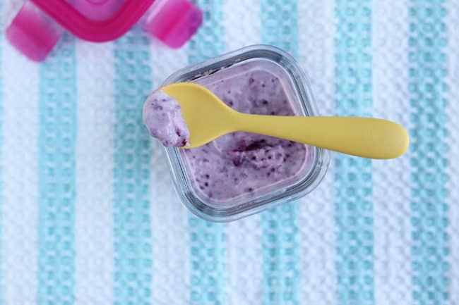 Quick Blueberry Chia Seed Jam - Yummy Toddler Food