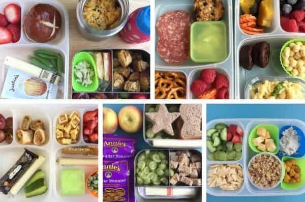 15 Toddler Lunch Ideas for Daycare (No Reheating Required)