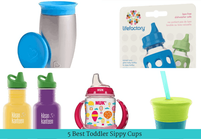 Best Sippy Cups for Toddlers (Updated 2018)