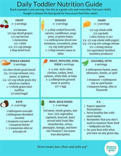 Daily Toddler Nutrition Guide (Printable Chart) - Yummy Toddler Food
