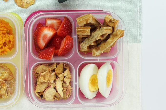 15 Toddler Lunch Ideas for Daycare (No Reheating Required)