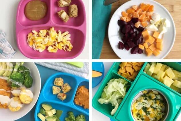 80 Healthy Toddler Lunches: Healthy Lunch Ideas for Kids