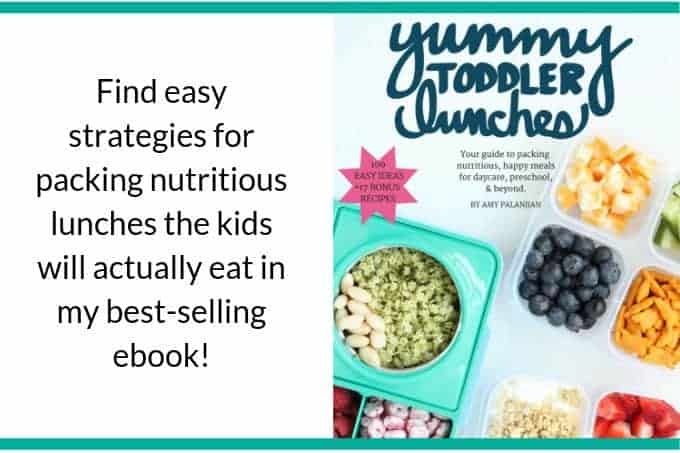 https://www.yummytoddlerfood.com/wp-content/uploads/2018/07/lunches-ebook.jpg