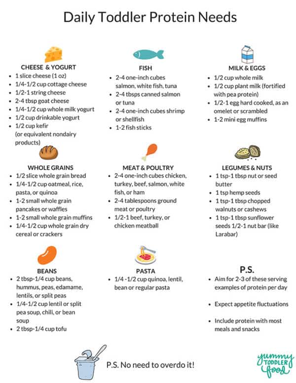 Kid Friendly Protein Foods