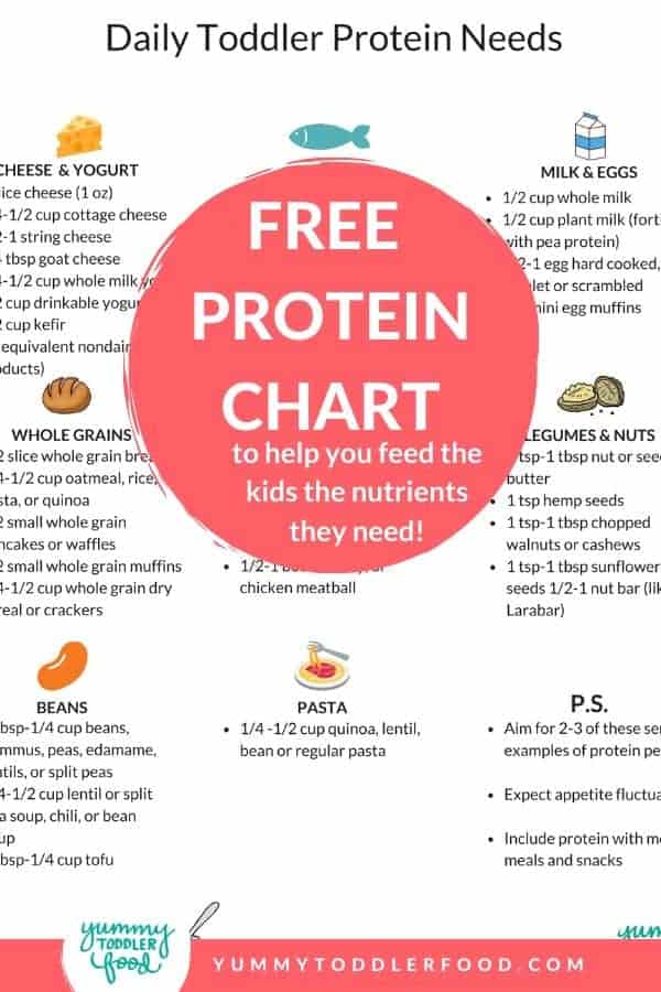 Protein for Kids: Easy, Kid-Friendly Food Ideas and Info