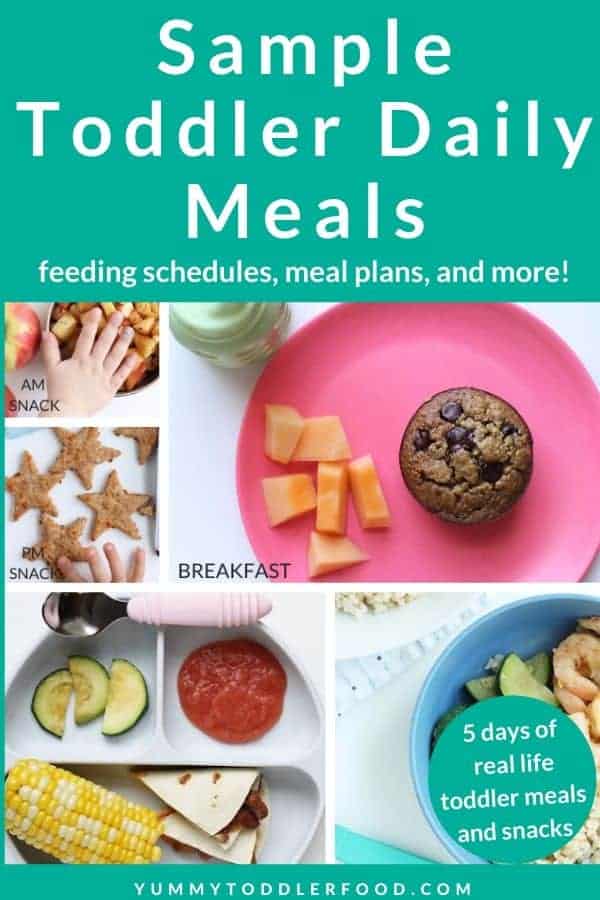 Sample Daily Toddler Meal Plan (And Feeding Schedules)
