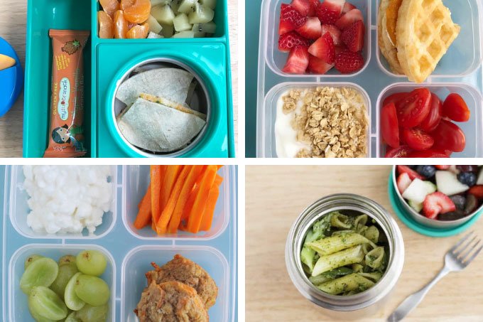 Beginnger's Guide to School Lunch Ideas (Gear, Recipes, Best Tips & More)