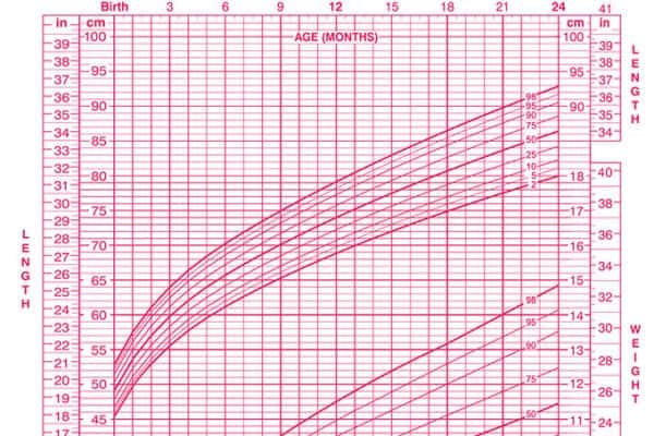 Growth Chart Percentiles: What They Mean, What They Don't - Yummy ...