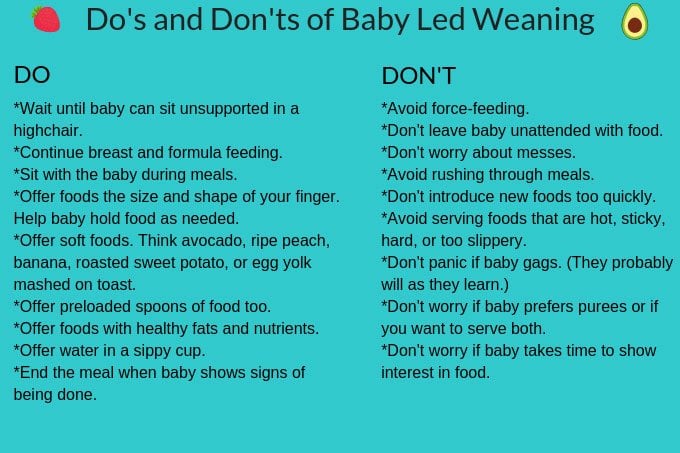  BABY-LED WEANING: Everything you need to know about baby led  weaning: when and how to start, foods to avoid, identifying allergies ,  understanding portion control and lots more.: 9798849652962: WHITE, JANET