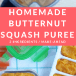 butternut squash puree pin