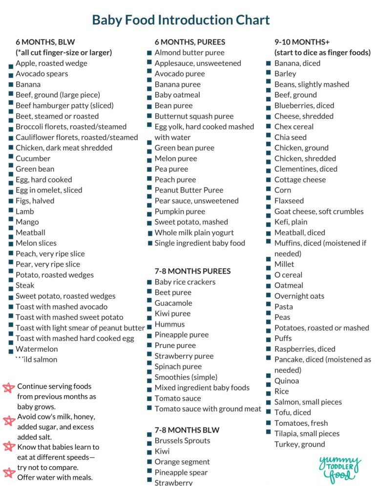 Printable Baby First Food Checklist