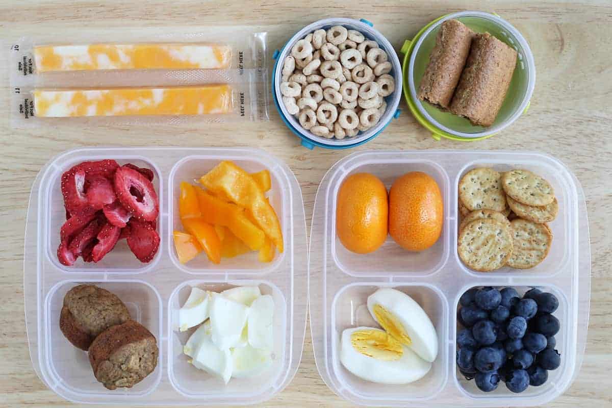 https://www.yummytoddlerfood.com/wp-content/uploads/2020/05/road-trip-snacks-for-kids-in-container.jpg