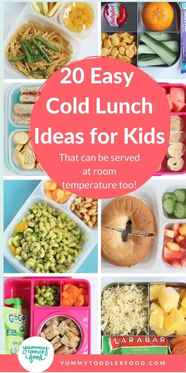 20 Easy Cold Lunch Ideas For Kids that Work At Room Temp 