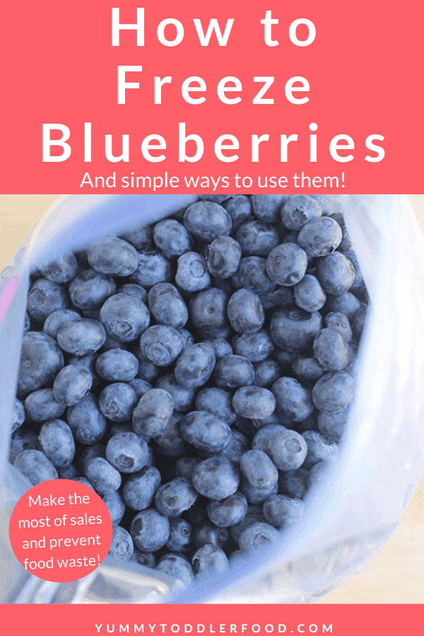 How to Freeze Blueberries the Easy Way