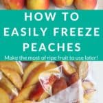 https://www.yummytoddlerfood.com/wp-content/uploads/2020/07/freeze-peaches-pin-1-150x150.jpg