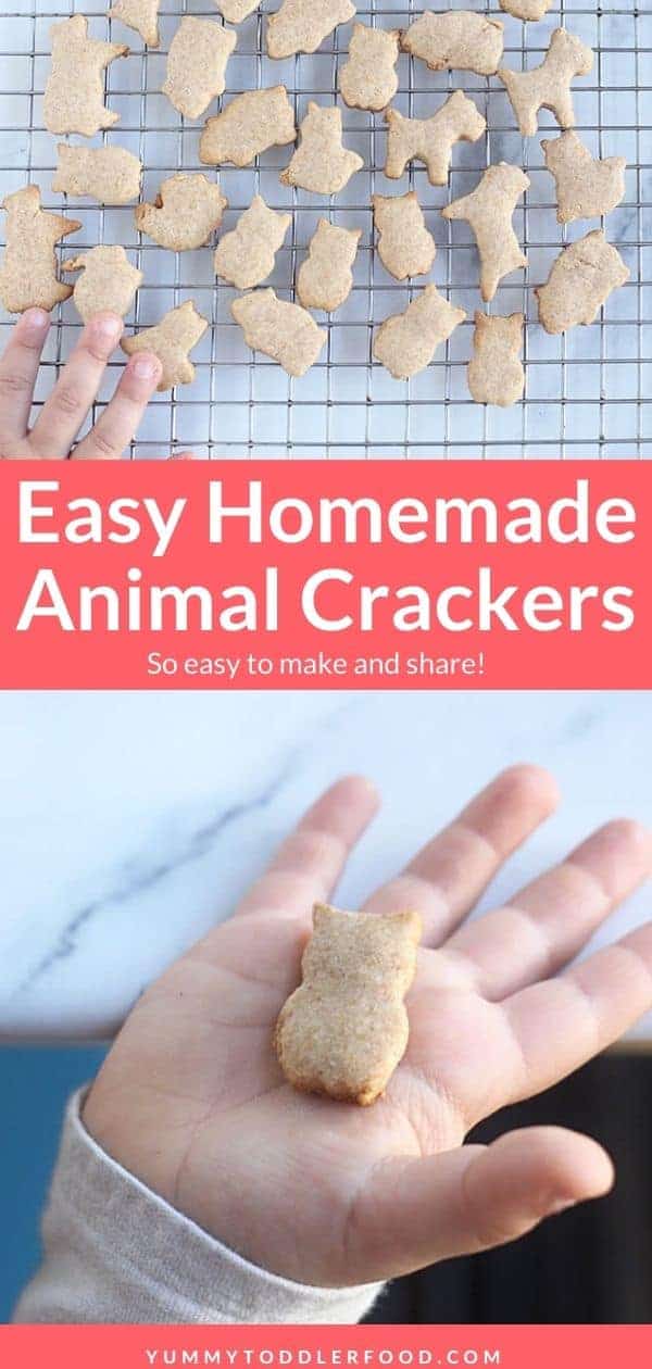 Easiest Animal Crackers Recipe