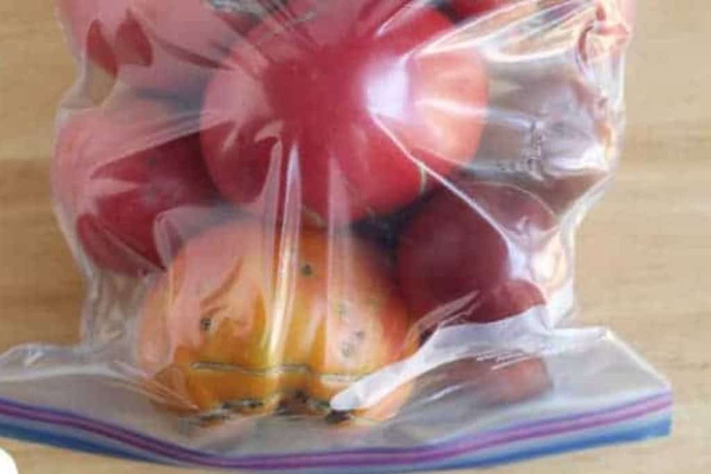 Tomatoes in zip top freezer bag ready to freeze.