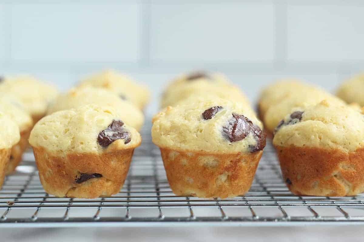https://www.yummytoddlerfood.com/wp-content/uploads/2021/08/baked-mini-chocolate-chip-muffins.jpg