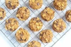 pumpkin-chocolate-chip-mini-muffins