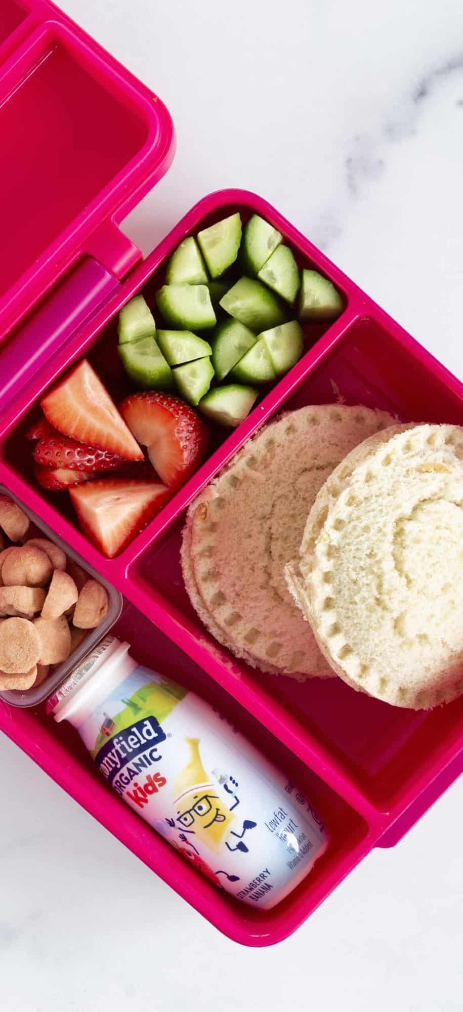 https://www.yummytoddlerfood.com/wp-content/uploads/2022/05/Camp-Lunch-2-vert-scaled.jpg
