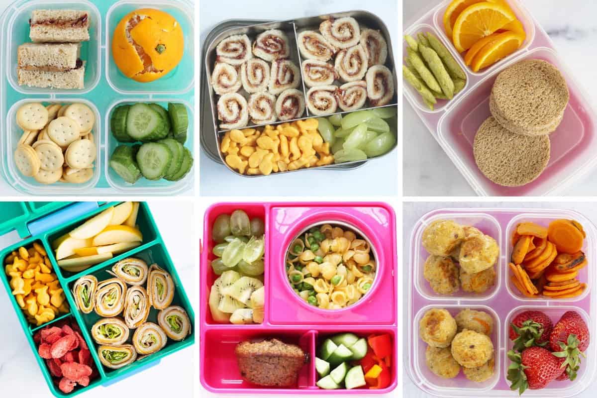 Easiest Packed Lunch Ideas for Kids And Adults My Wonderful Baby