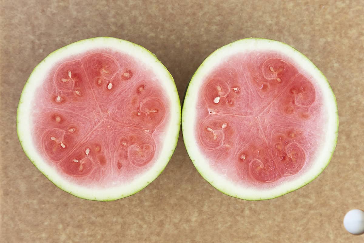 Watermelon sliced rounds on cutting board. 