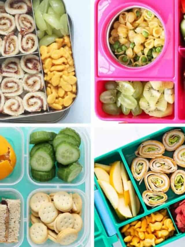 Easiest Packed Lunch Ideas Yummy Toddler Food