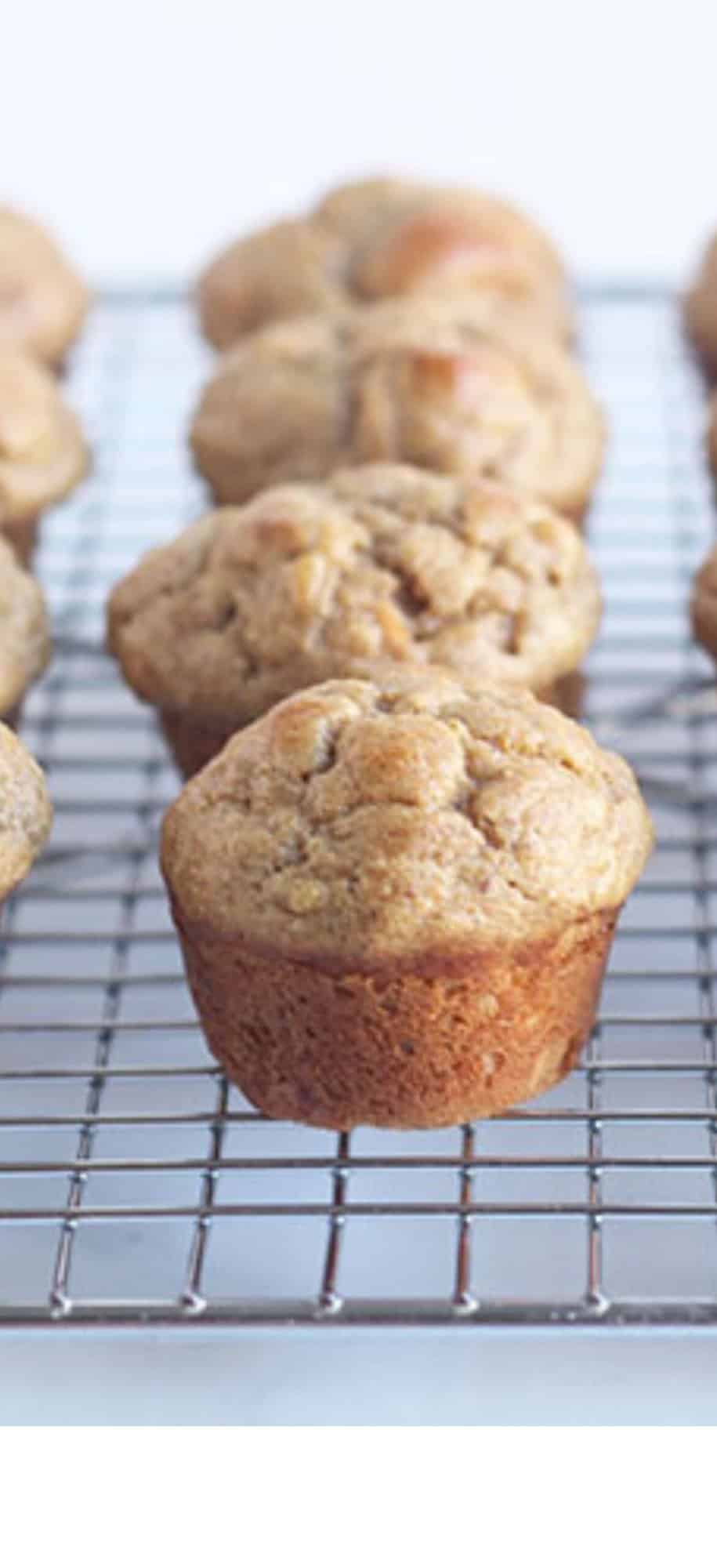 🍌🥕 Dive into these ABC (Apple Banana Carrot) cupcakes from @zenatewhat  using the new @bydash Mini Cupcake Maker! They're a scrumptious way…