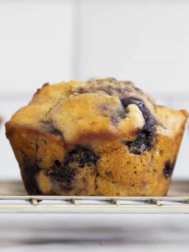 Favorite Blueberry Yogurt Muffins Yummy Toddler Food