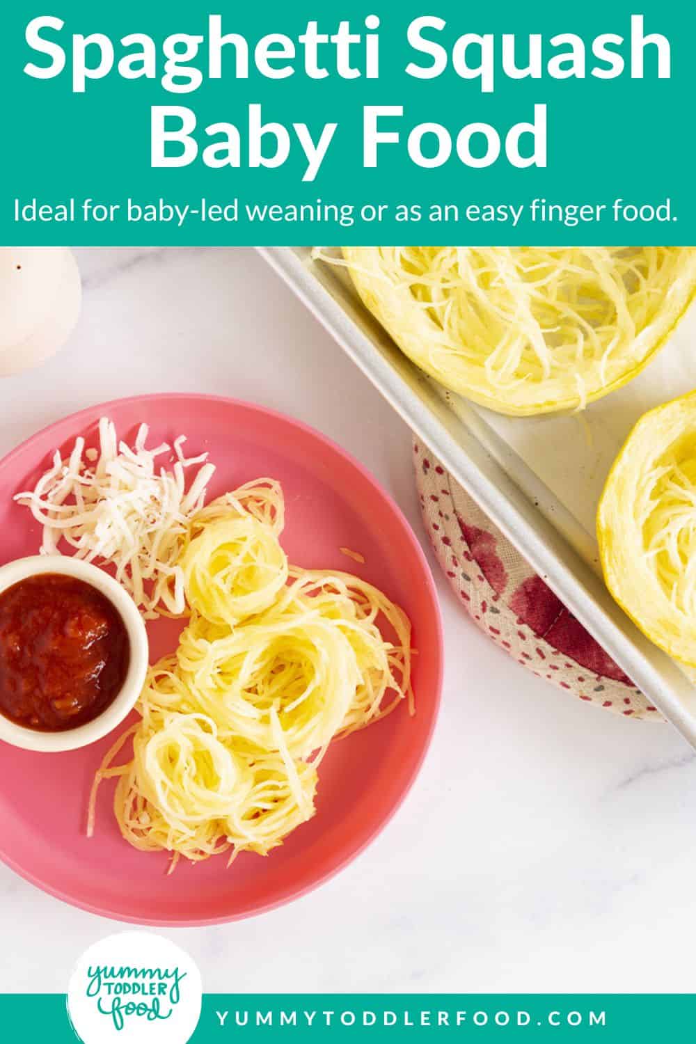 Spaghetti Squash Baby Food Pin.