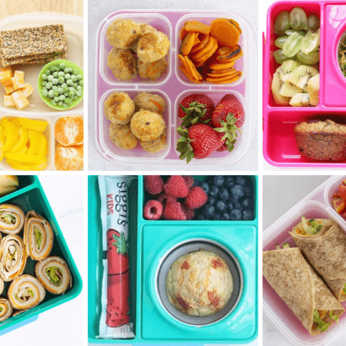 https://www.yummytoddlerfood.com/wp-content/uploads/2023/02/top-ten-lunchbox-500x500.png
