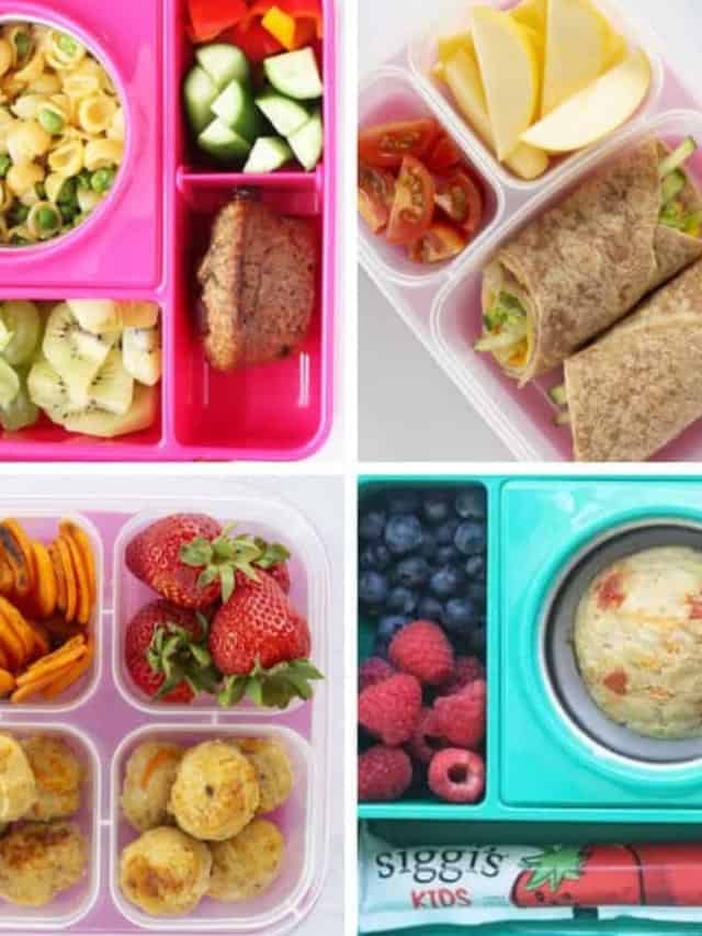 Top 10 Lunchbox Ideas - Yummy Toddler Food