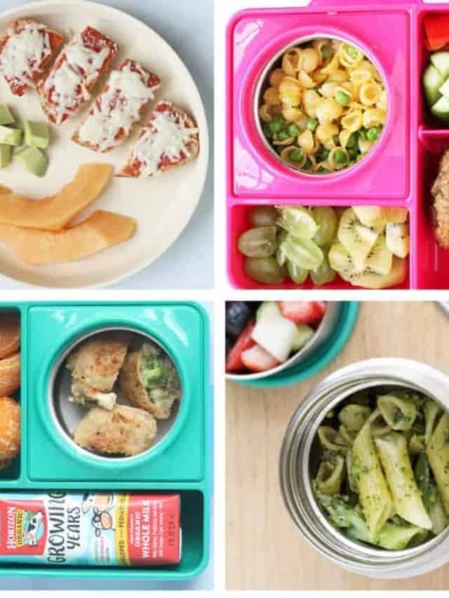 10-easy-hot-lunch-ideas-yummy-toddler-food