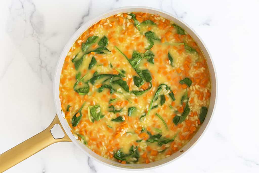 Orzo soup in pan ready to serve.