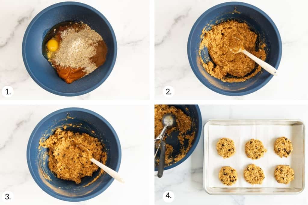 Chewy Pumpkin Oatmeal Cookies - Yummy Toddler Food