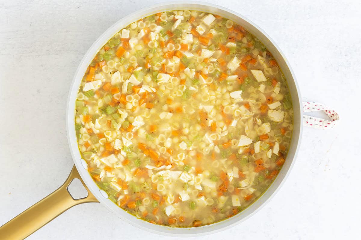 Turkey noodle soup in a pan.