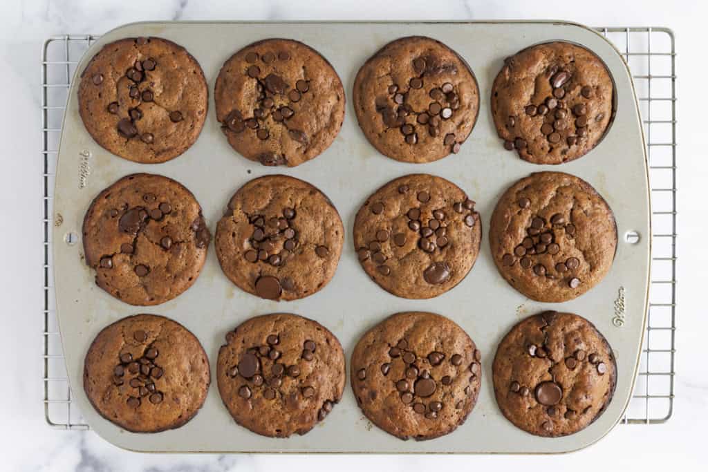 Chocolate muffins in muffin pan after baking. 