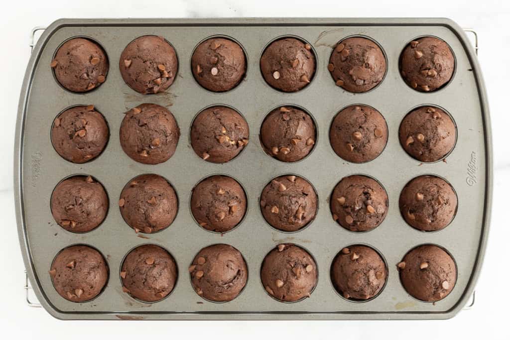 Chocolate banana muffins in muffin pan after baking.