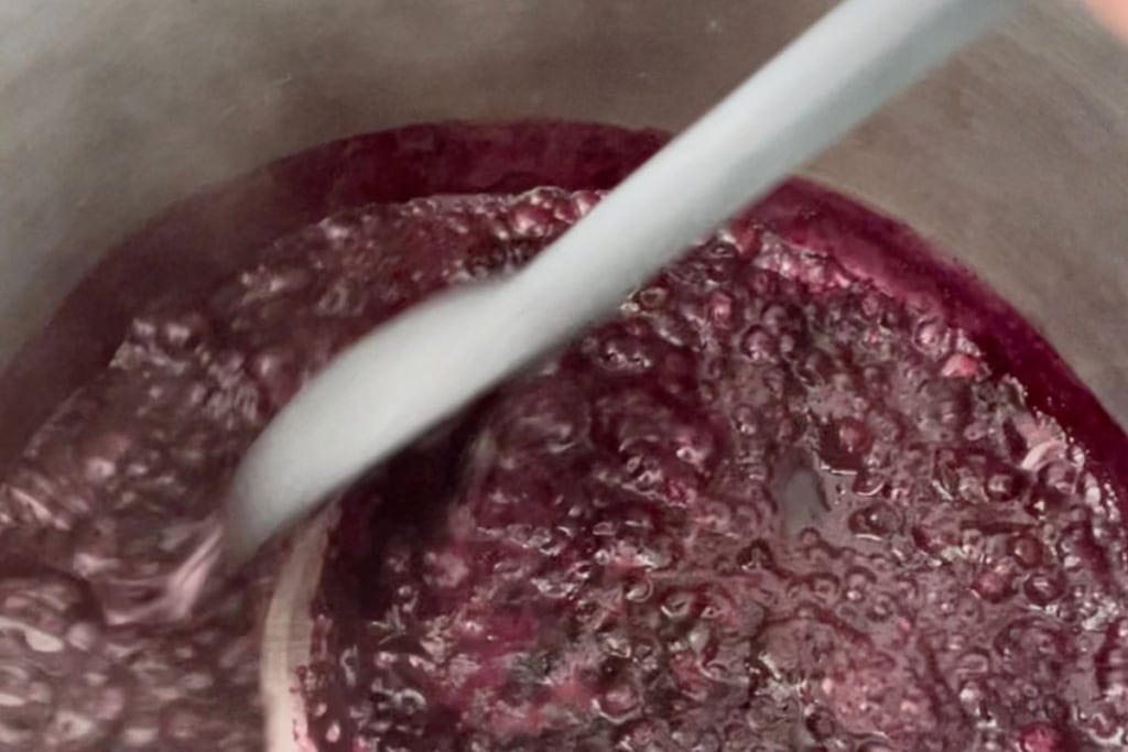 how to make blueberry yogurt, step 2.