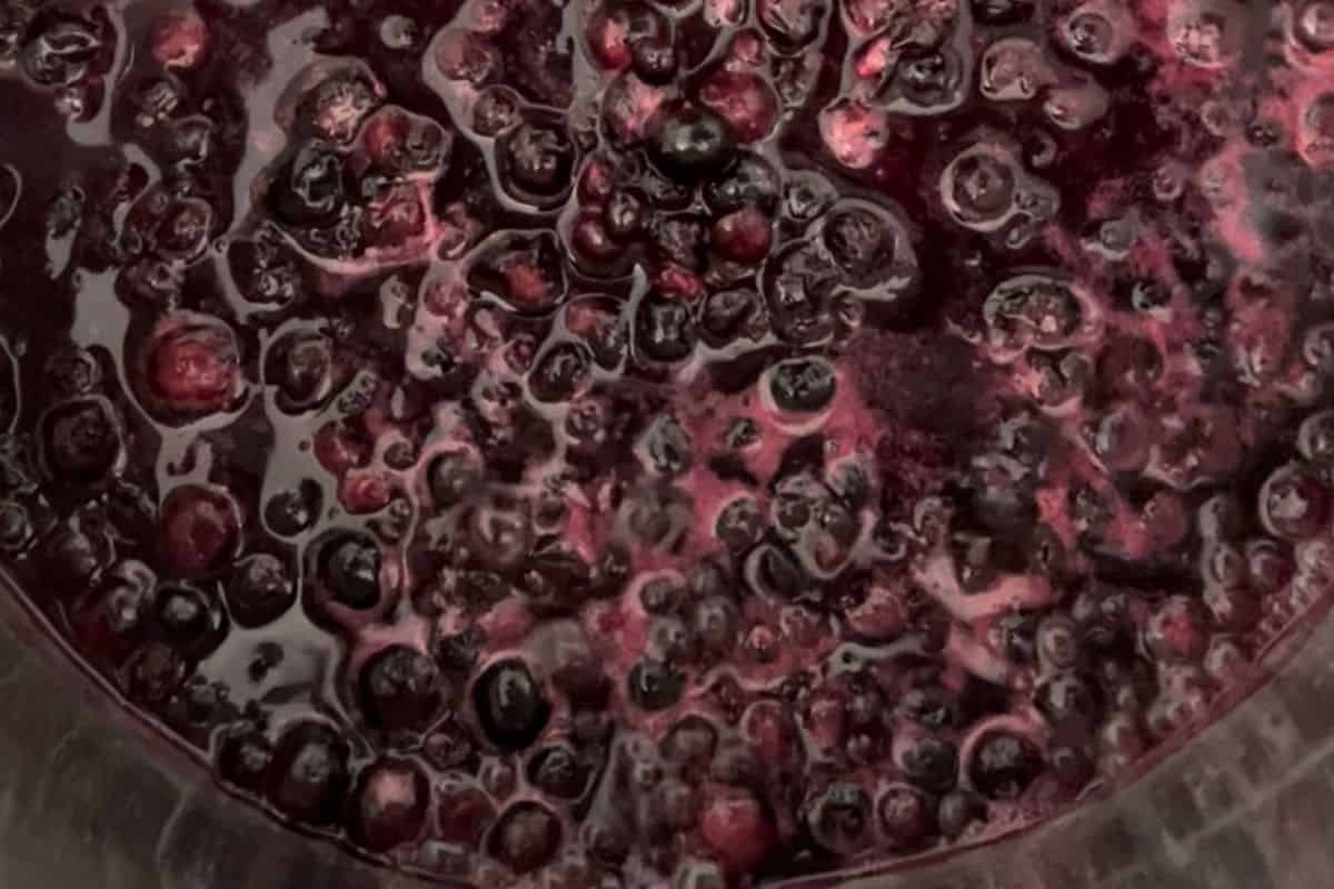 how to make blueberry yogurt, step 1.
