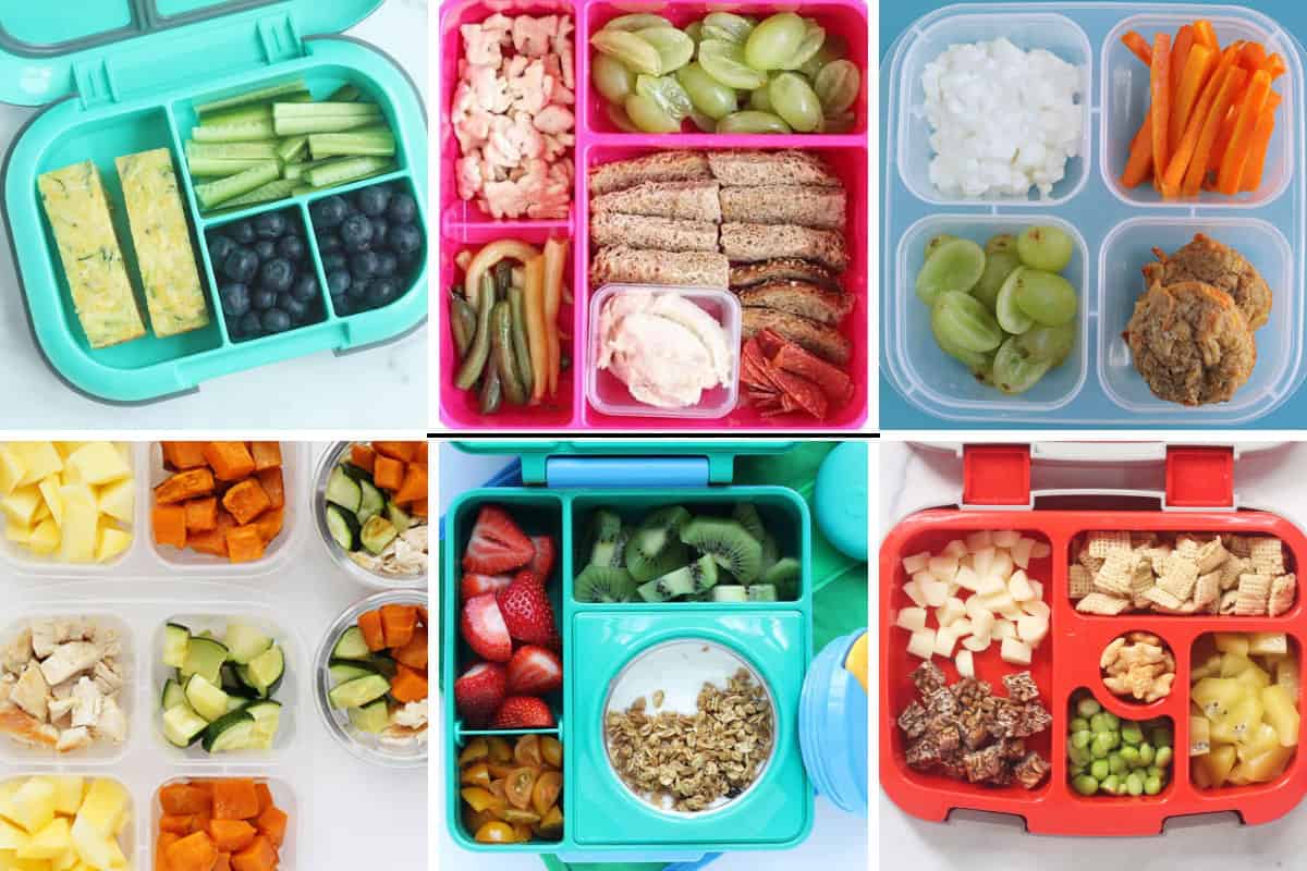 gird of six toddler lunches in lunch boxes.