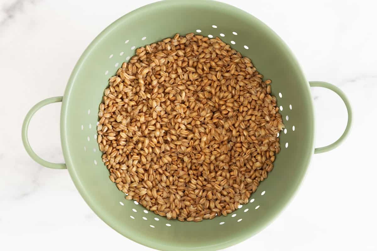 Farro in strainer for farro salad.