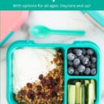 Lunchbox Ideas for Picky Eaters pin.