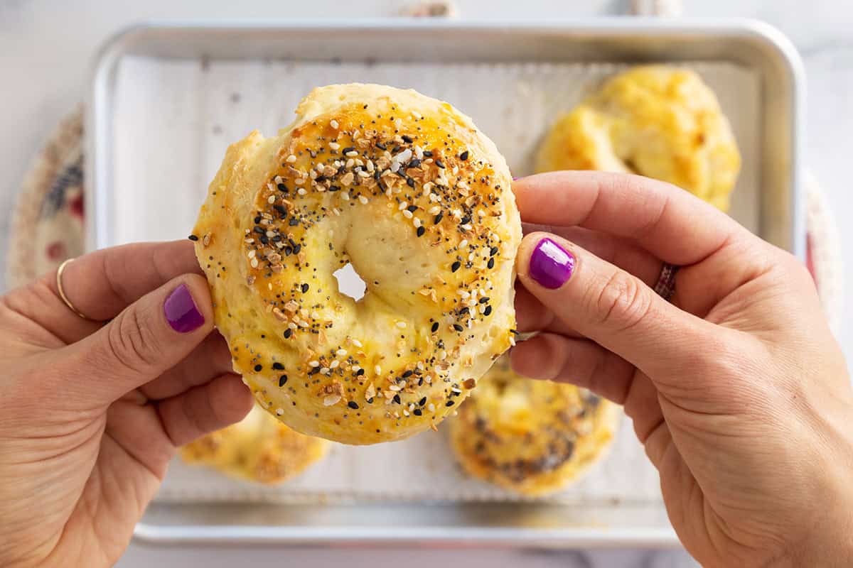 Hands holding bagel.