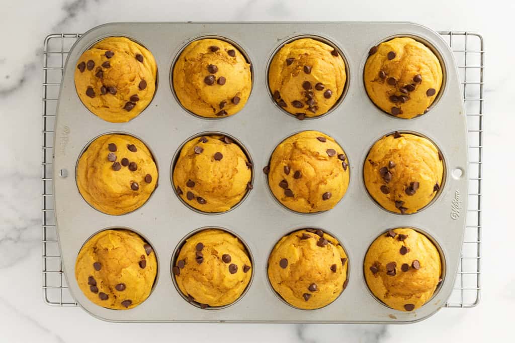 Pumpkin protein muffins in muffin pan after baking.