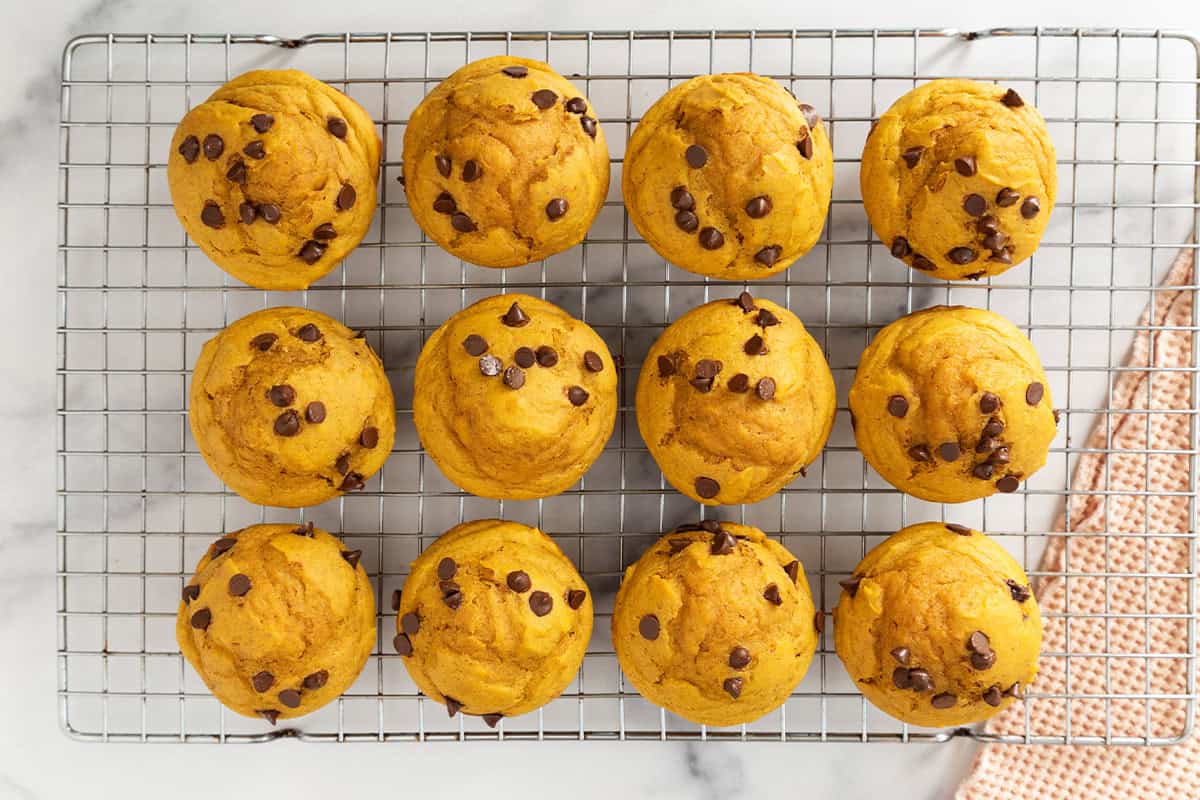 Pumpkin protein muffins in muffin pan on cooling rack.