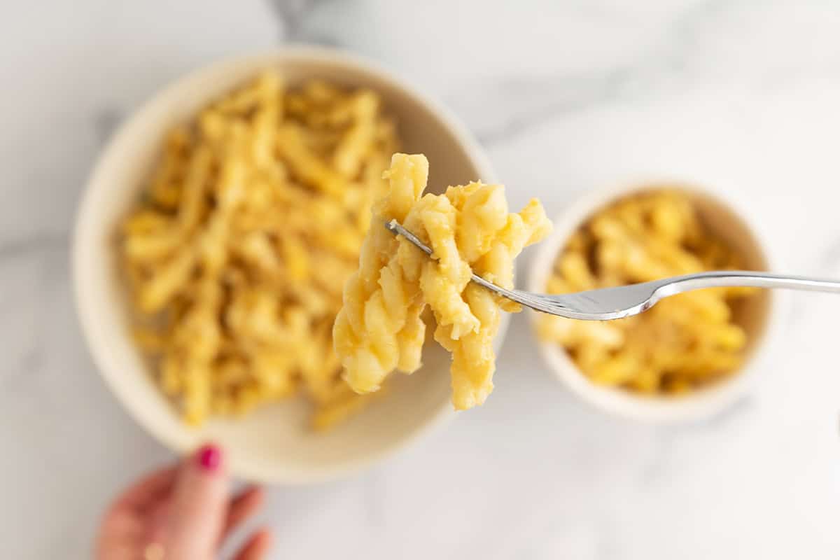 close up of butternut squash pasta bake on fork.