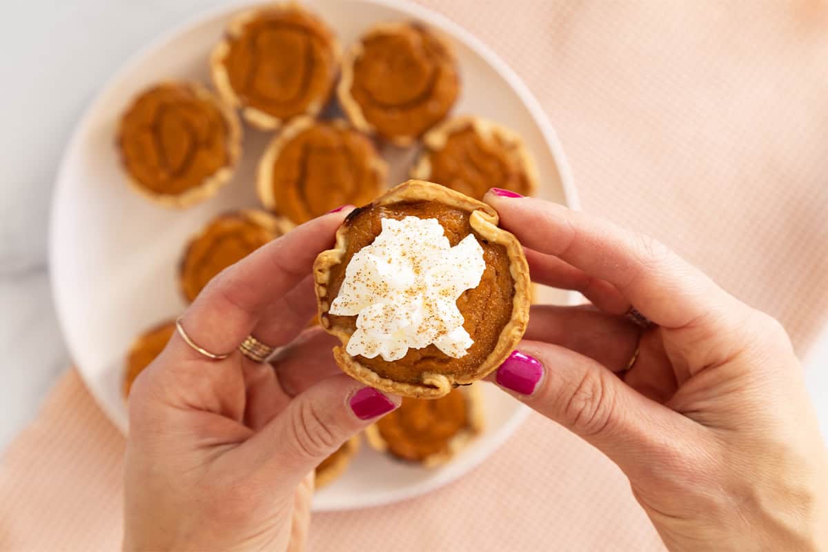 Hands holding mini pumpkin pie with whipped cream.