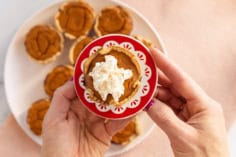 Mini pumpkin pie on red plate with whipped cream.